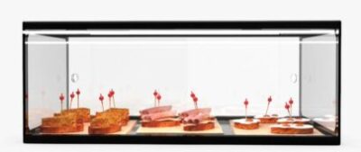 Sayl ADS0025 Ambient Display Single Tier