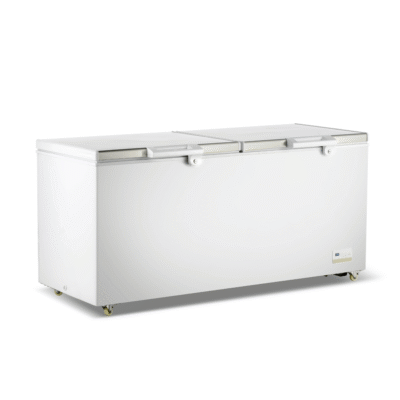 Thermaster 600L Chest Freezer with Stainless Steel Lid – BD600F